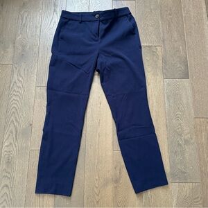J. Crew Deep Blue Pants